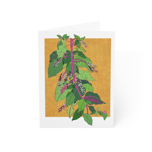 Pokeweed