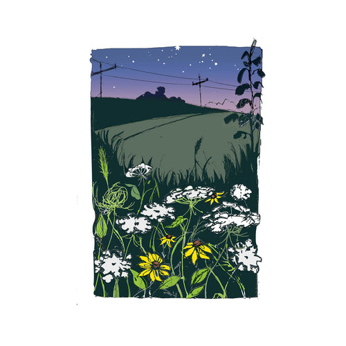 Farm Field at Sunset - Digital Edition
