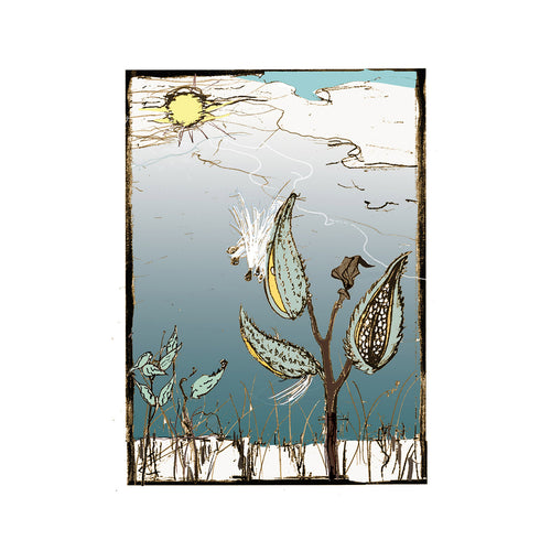 Milkweed in Winter - Digital Edition