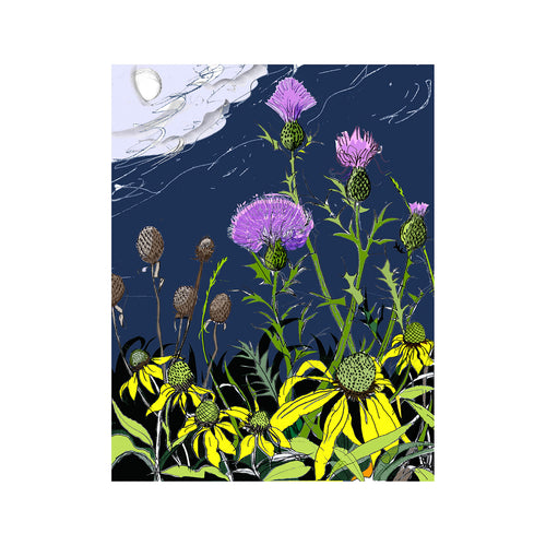 Prairie Flowers at Night - Digital Edition