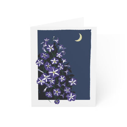 Pinwheel Petunias