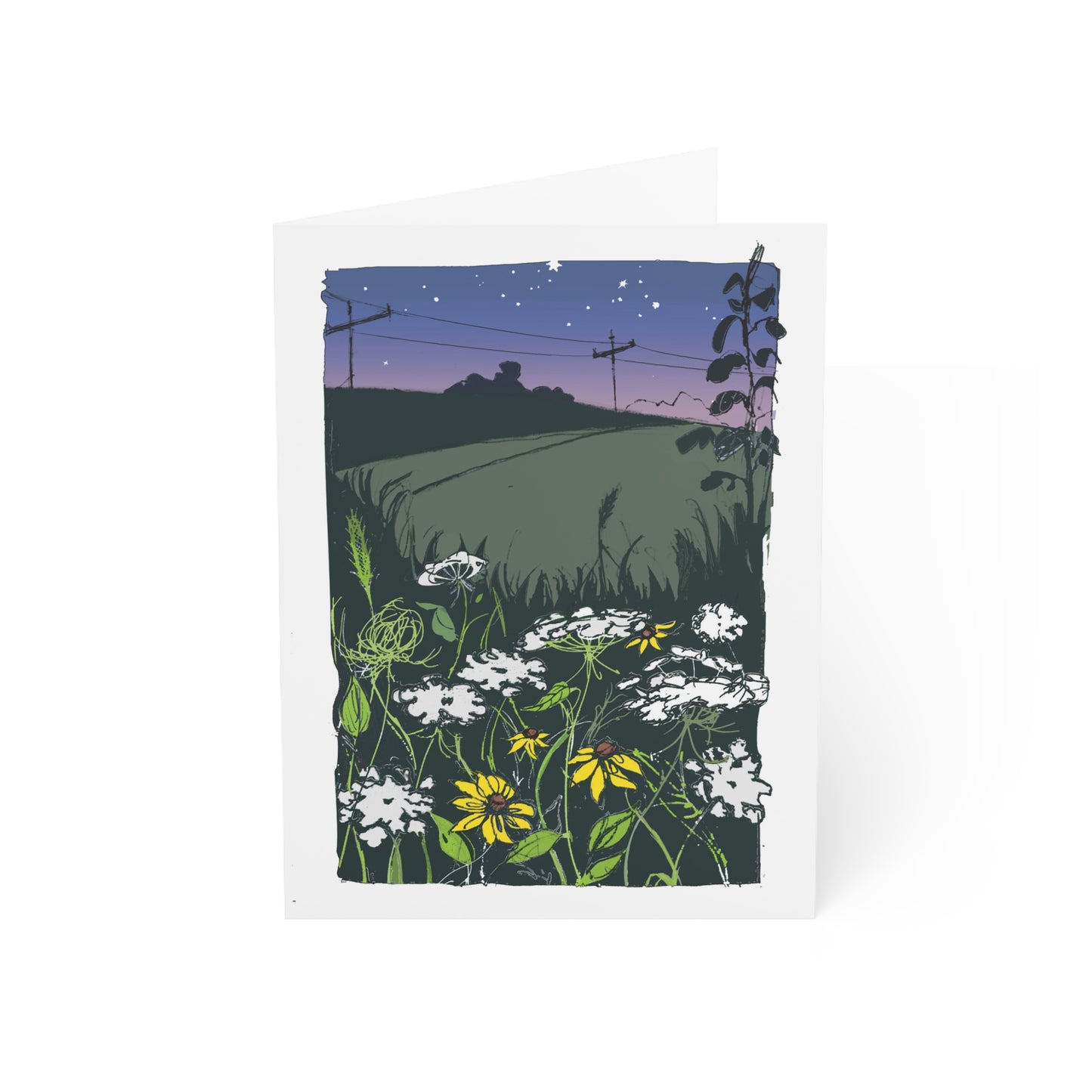 Farm Field at Sunset